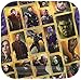 American Greetings Avengers: Infinity War Paper Dessert Plates, 8-Count