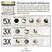 Oral Teeth Whitening Activated Charcoal - Premium Organic Coconut & Bamboo Tooth Whitener Powder with Kaolin Clay, Bentonite Clay, Peppermint & More for Brighter Smile & Healthier Gums (2oz.)