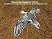 Sillosocks Flapping Blue Goose Decoy