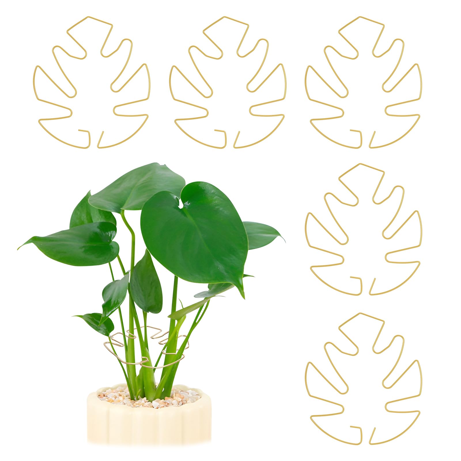 Photo 1 of 5PCS Iron Monstera Plant Support, Plant Stem Support, Turtle Shell Bamboo Clamp Set, Stable Plant Support Stakes for Indoor Plant, Ideal Present for Plant Lovers