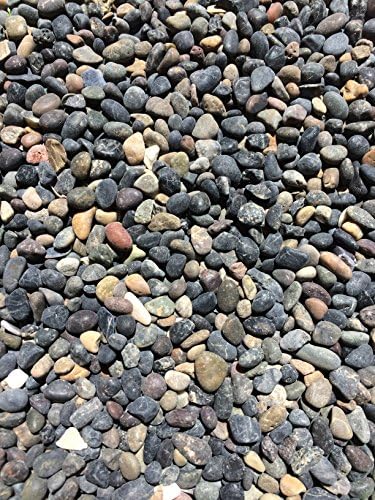 Garden Bloom Authentic Mexican Beach Pebbles 1/4 Inch - Perfect for Succulents, Aquariums, Terrariums, Fairy Gardens, All Landscape Applications (5 LB)