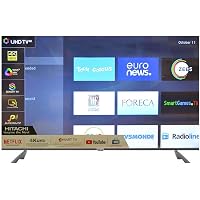Hitachi 165 Cm (65 Inch) 4K Ultra HD Smart LED TV LD65HTS08U (Black) (2019 Model)
