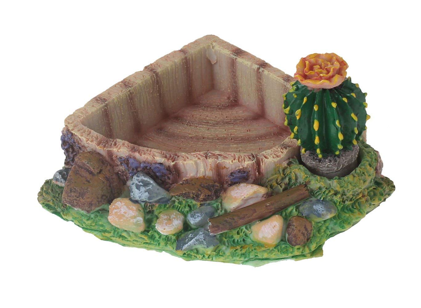 Reptile Amphibian Tortoise Lizard Frog Water Dish Food Feeder Cactus Corner Bowl with Ramp Small