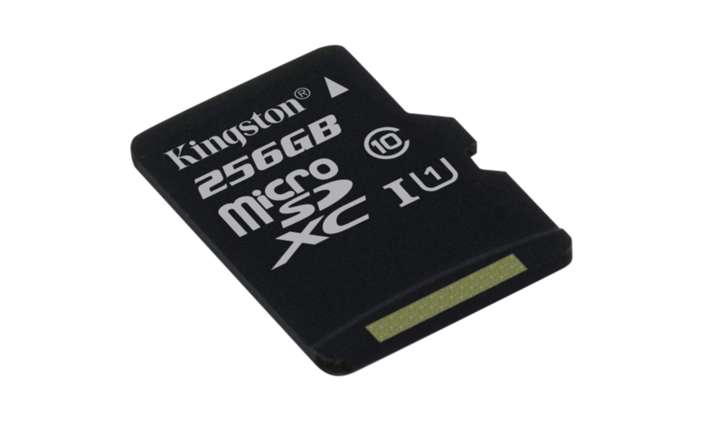 Kingston Canvas Select (SDCS/256GBSP) MicroSD Class 10 UHS-I Speeds Up to 80 MB/s Read (Card only) - Bring Your HD Videos to Life