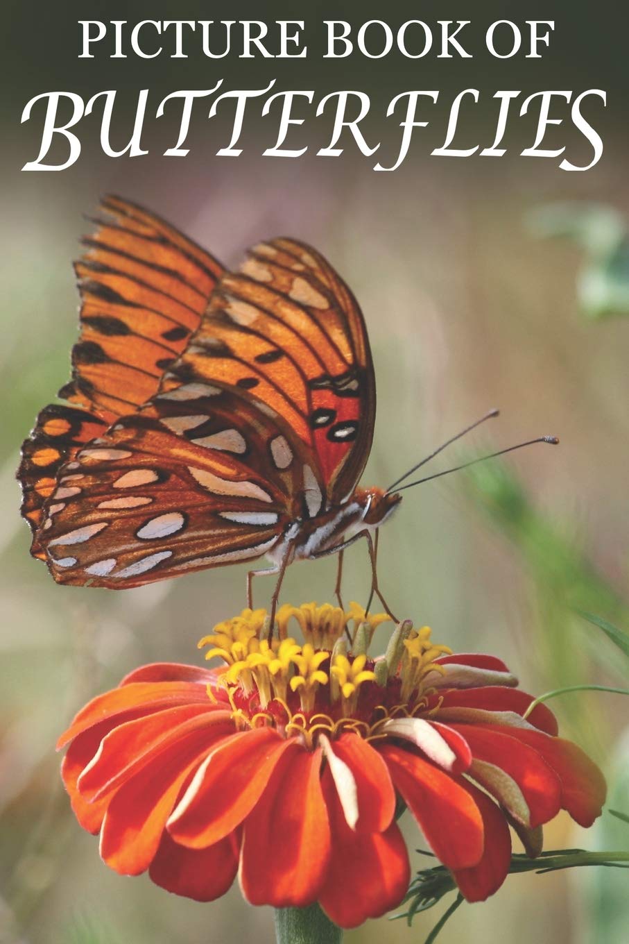 Picture Book of Butterflies: For Seniors with Dementia [Best Gifts for People with Dementia]: 7 (Picture Books of Animals for People with Dimentia)