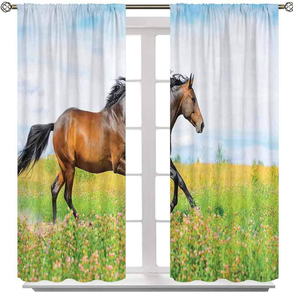 Window Curtains, Horse Runs Gallop on Flower Meadow Rural Freedom