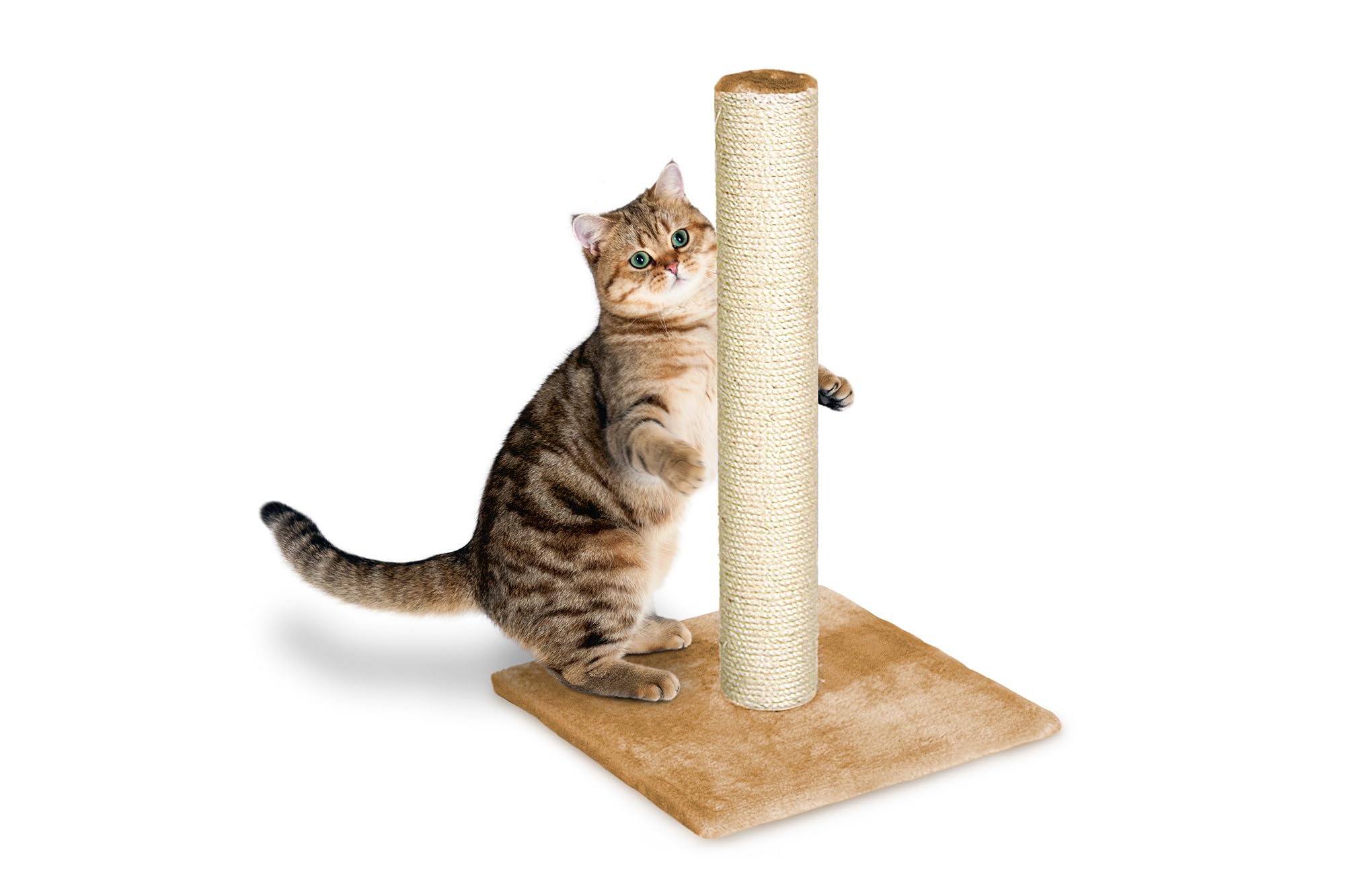 Flamingo 1031003 Dog Rubber Toys , Assorted Color - 18cm