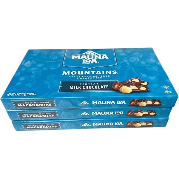 Mana Loa VINTAGE MOTHERBOARD MONSTER 386 Am386DX-40 AMD 8xISA, 8xSIMM