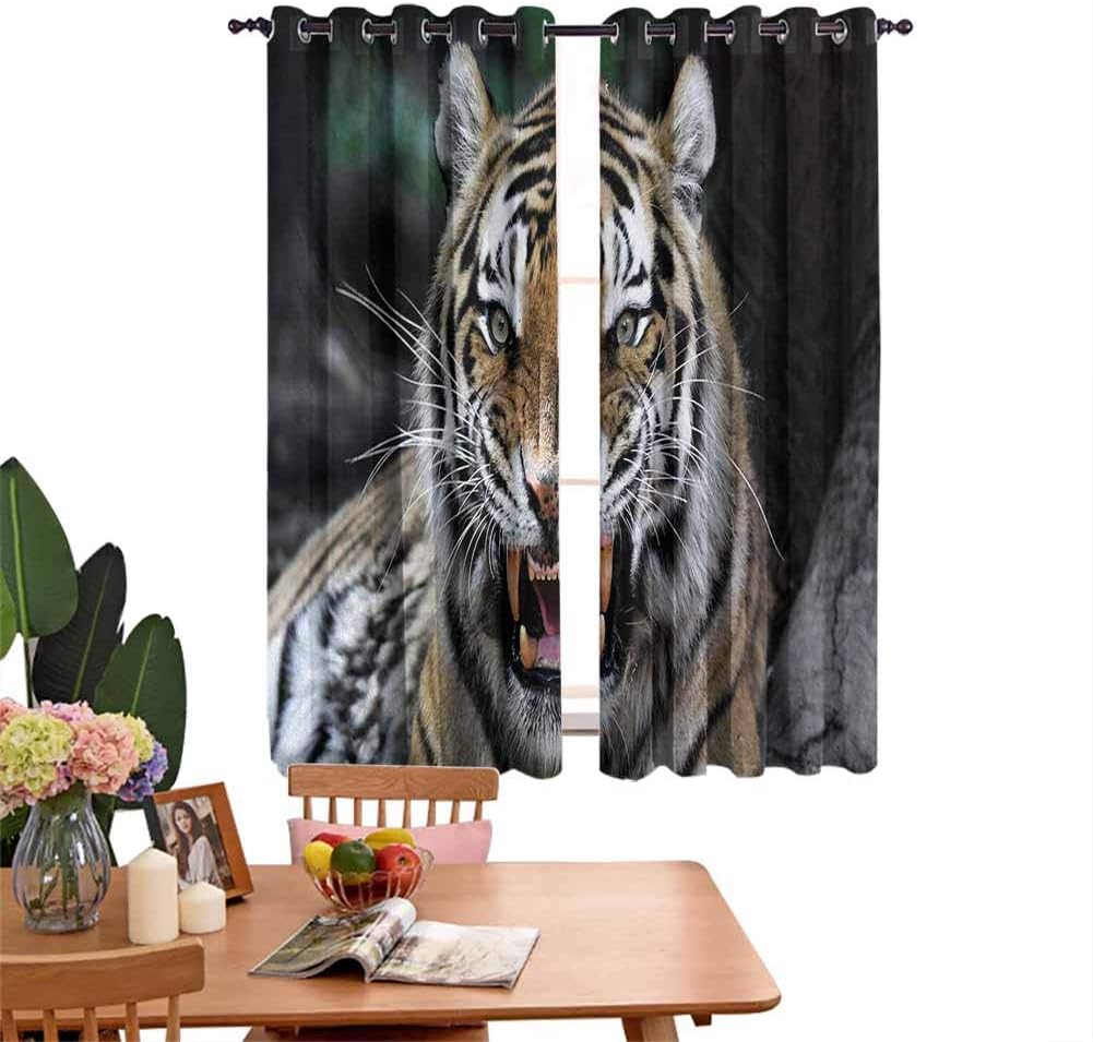 Blackout Curtains for Living Room Curtains for Kitchen