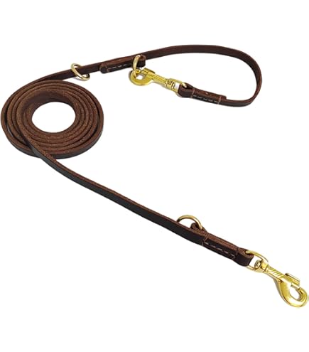 Amazon.com : Genuine Leather Dog Training Leash - Heavy Duty