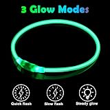 AUAUY LED Light Up Dog Collar Green USB Rechargeable Water Resistant Reflective view 5
