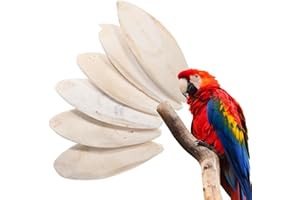 6Pcs Natural Cuttlebone Chew for Birds Safe Bird Molar Bite Accessories Rich