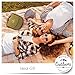 Bright Outdoors Picnic Set for 2 - Compact wallet to fit basket or bag. With board, opener, napkins