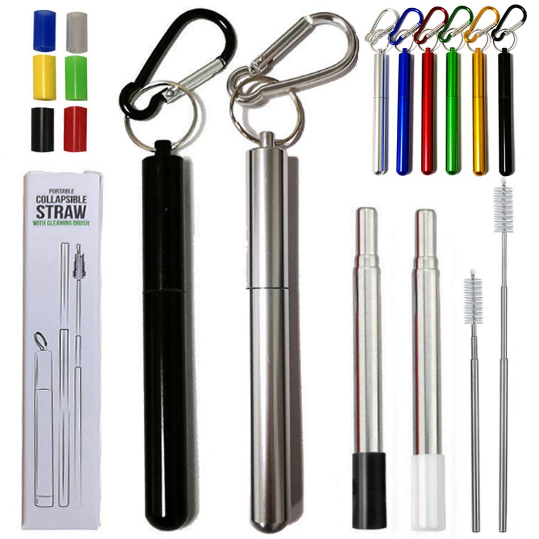 Hoshen 2 PCS Reusable Folding Metal Straws, Portable Telescopic Straws, Including Brushes and Silicone Heads (with Shell) ，Silver/Black