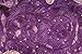 pqdaysun 5 Yards African Net Lace Fabrics Nigerian French Fabric Embroidered and Rhinestones Guipure Cord Lace (purple and white)