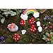 Tonsiki 33 Pieces Miniature Garden Accessories Fairy Garden Ornament Kit for DIY Dollhouse,Succulent,Plant Decoration