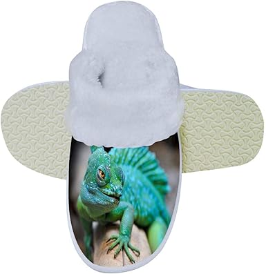 lizard slippers