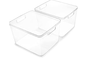BINO | Plastic Bins, Large - 2 Pack | THE LUCID COLLECTION | Multi-Use| Built-In Handles | BPA-Free | Clear Storage Containers | Fridge Organizer | Pantry & Home Organization
