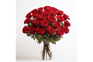 GLOBALROSE 100 Red Roses- Fresh Cut Flowers- Beautiful Gift