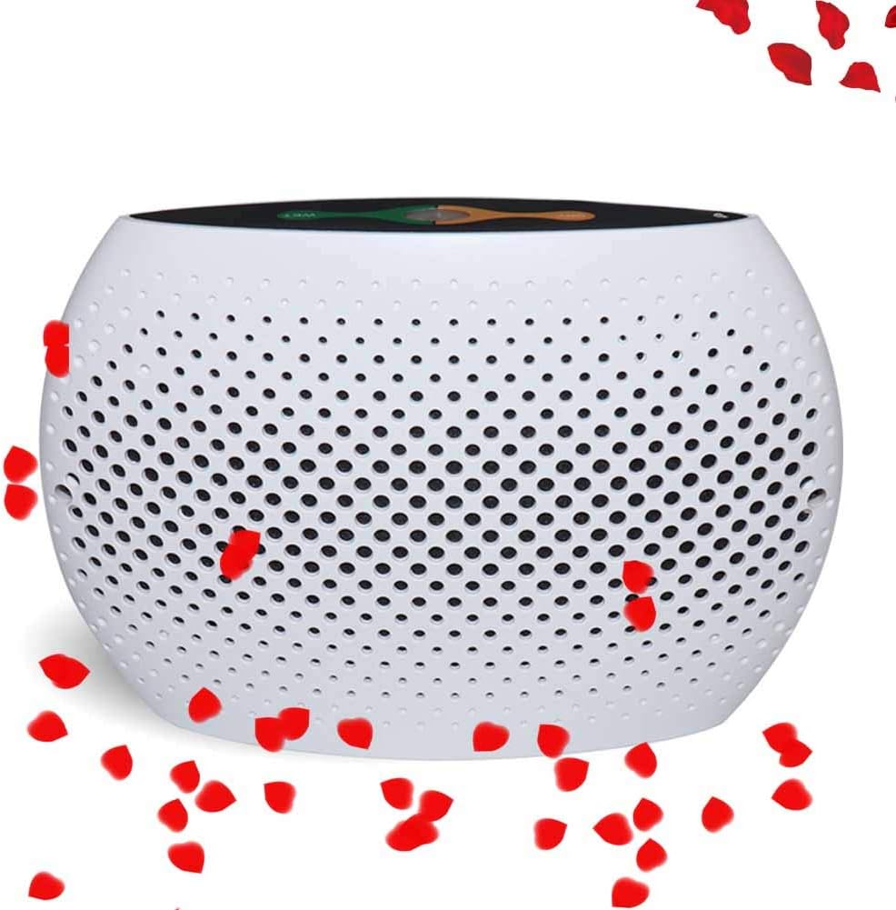 Dowsabel 2019 Improved Renewable Small Portable Dehumidifier for Bedroom, Bathroom, Kitchen, Gun Safe and RVs(White)