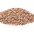 GERBS Buckwheat Grain Groats 2 LBS. Premium Grade | Top 14 Food Allergy Free NON GMO | Freshly harvested packed in Resealable Bulk Bag | Rich in Iron, Fiber & Protein | Gluten Peanut Tree Nut Free