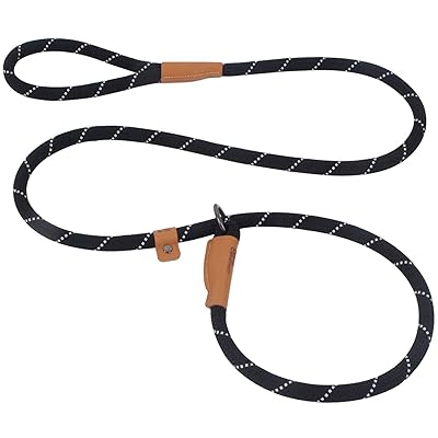 Slip training leash for dogs Clearance