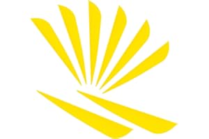 Letszhu Arrows Vanes 4 Inch Plastic Feather Fletching for DIY Archery Arrows 50 Pack…