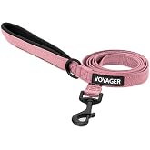 Best Pet Supplies Voyager Nylon Dog Leash - Pink, Small | 5ft in Length, 5/8" in Width, Reflective, Soft Neoprene Handle, Heavy Duty Metal Clips for Running, Walking &amp; Training