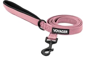Voyager Reflective Dog Leash with Neoprene Handle, 5ft Long, Supports Small, Medium, and Large Breed Puppies, Cute and Heavy 