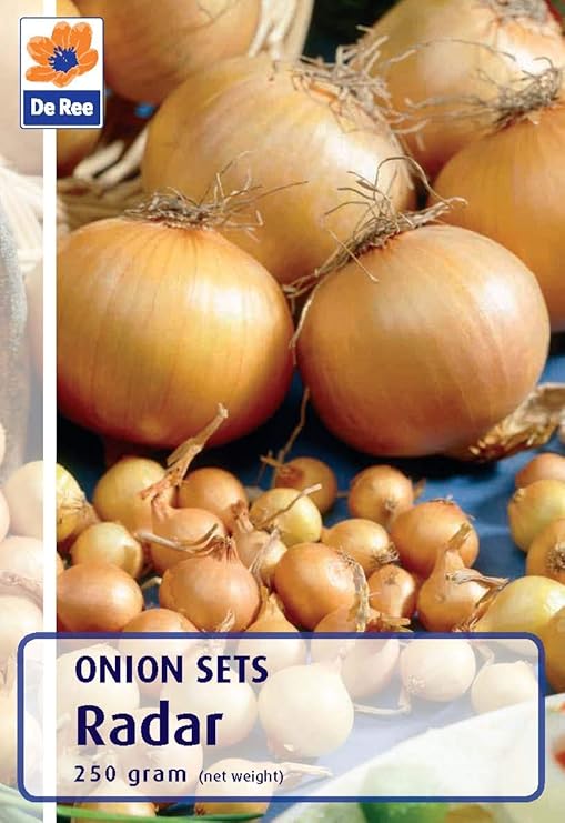 JBA Radar Winter Onion Sets (250g Pack) Amazon.co.uk Garden & Outdoors
