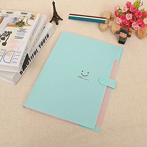 File Folders Colorful 5 Pocket Paper File Folders For Letter And A4 Paper With Snap Closure for School And Office(Jade)
