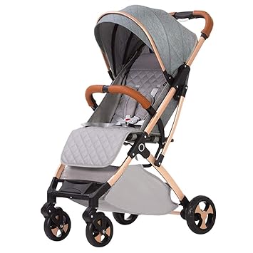 stroller two in one