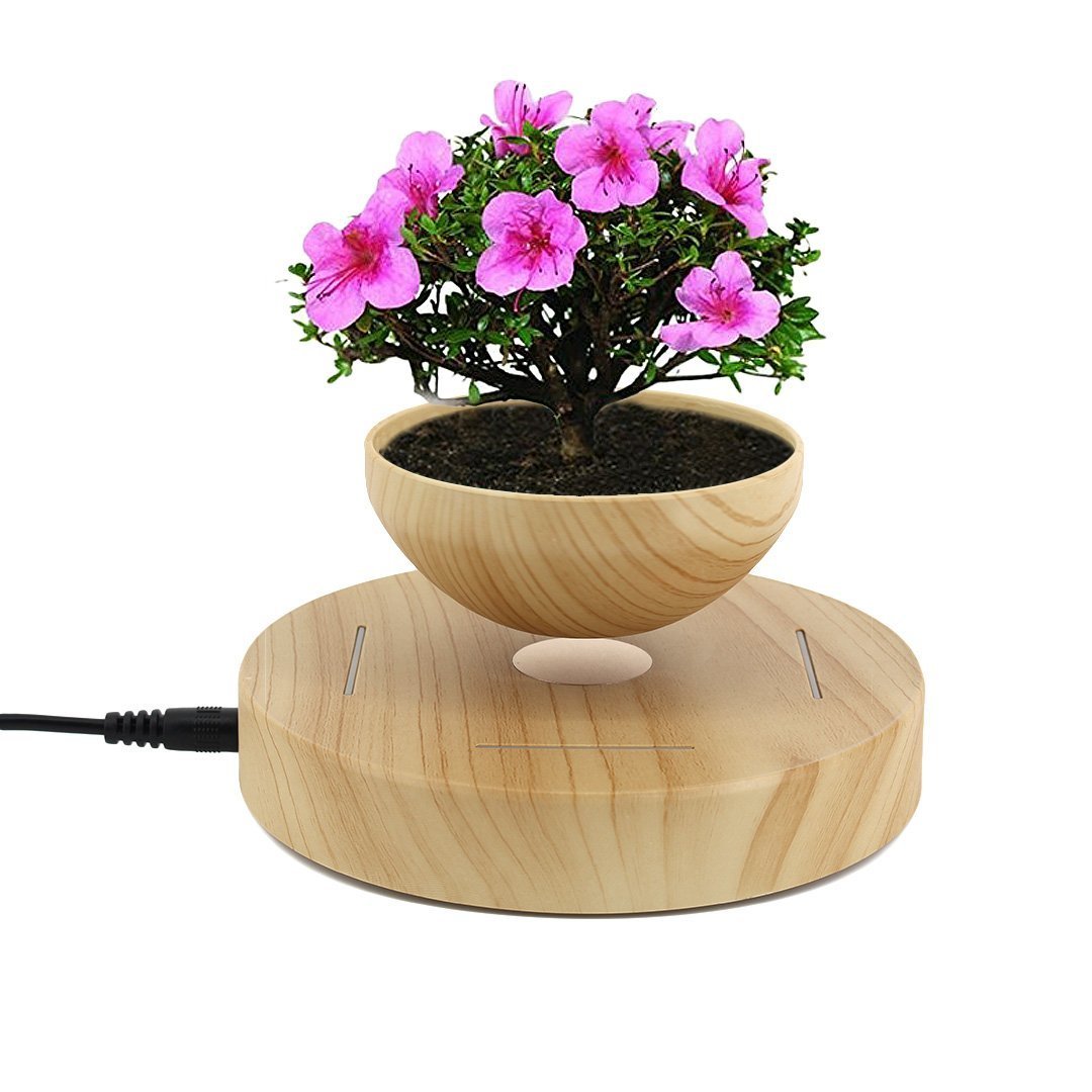 Levitating Air Bonsai Pot Levitation Suspension flower and