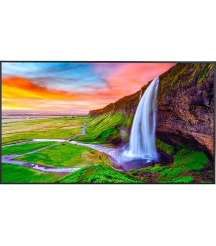 Amazon.com: Sharp NEC Display AQUOS 4P-B50EJ2U Digital Signage