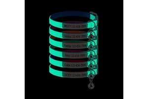 Custom Glow in The Dark Cat Collar, Reflective Breakaway Pet Collar with Bell, Personalized Cat Collar with Name and Phone Nu