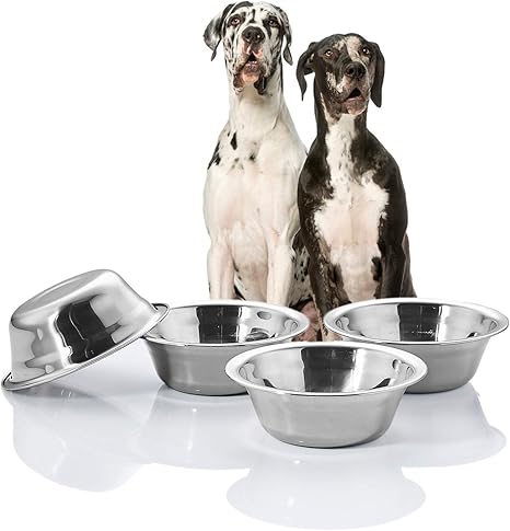 chameleon screen cage