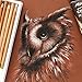 Mont Marte Coloured Charcoal Pencils 12pce
