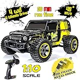 Remote Control Car, 1:10 Large Scale Electric RC Car Off-Road Monster Truck with High Speed 48km/h Wide Range 100M 2.4GHz 4WD, Anti-Collision R/C Cross-Country Racing Vehicle