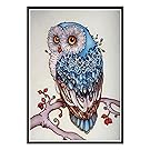 DIY Diamond Art of 5D Diamond Embroidery Owl Diamond Painting
