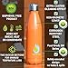 Insulated Sport Metal Water Bottle 17 OZ - Stainless Steel Reusable - Bundled with Multifunctional 7-in-1 Survival Kit