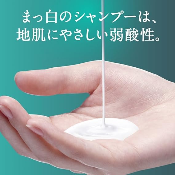 Amazon エイチアンドエス H S シャンプー リフレッシュ ポンプ 5ml H S シャンプー 通販