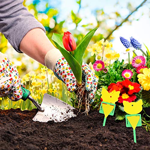 36 Pack Fruit Fly Trap Yellow Sticky Fungus Gnat Killer for Indoor and Outdoor Plant Insect Catcher for White Flies Mosquitos Fungus Gnats Flying Insects Houseplant Gift for Flower Lover (H48 36+12)