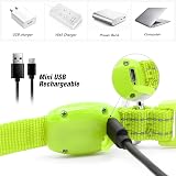 Visinite LED Dog Collar USB Rechargeable Reflective Night Safety Collar Green S view 4