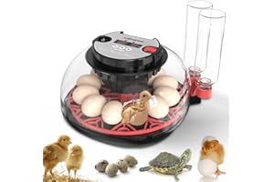 HOWOOIUA 12 Eggs Incubator for Hatching Eggs, Temp and Humidity Display, 360°View Auto Water Adding, Egg Candler Incubators for Hatching Chickens Ducks Quails Eggs