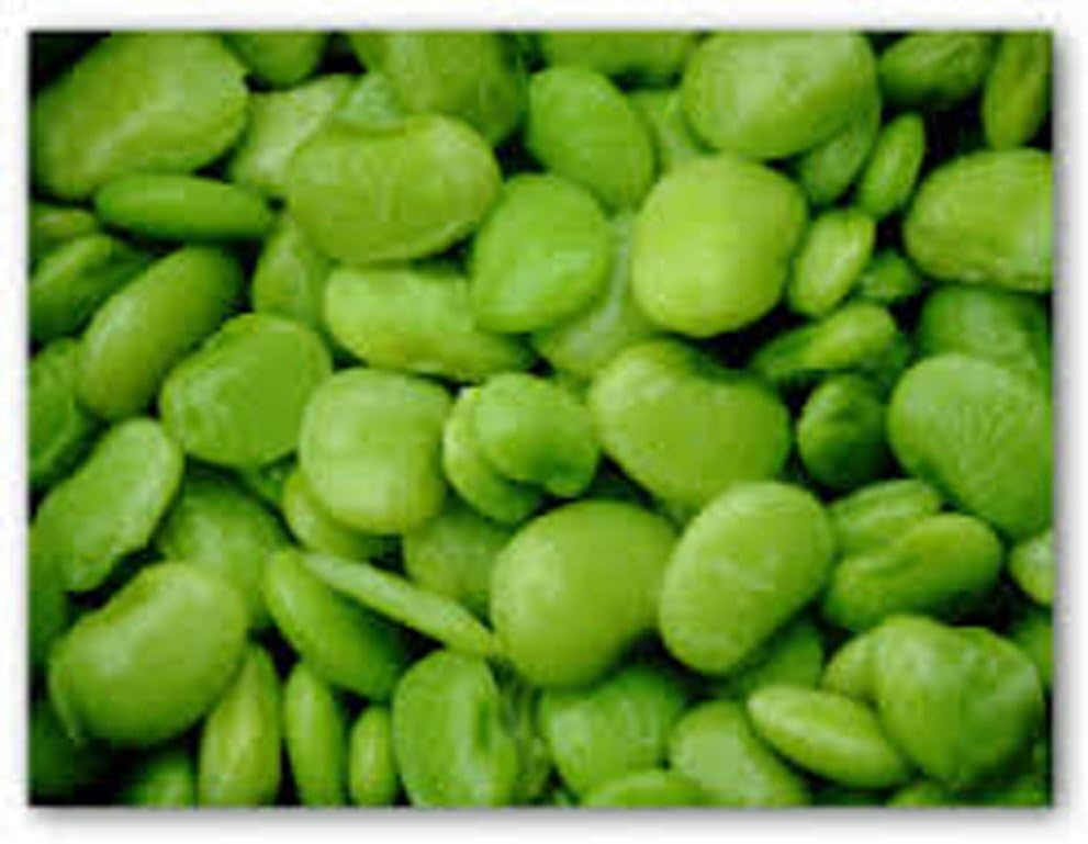 Bean, Fordhook Lima Bean seeds, Organic, NON-GMO, 20+ seeds per package, Classic Lima Bean