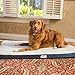 Simmons Beautyrest Thera Bed Orthopedic Memory Foam Dog Bed and Kennel/Crate Mat
