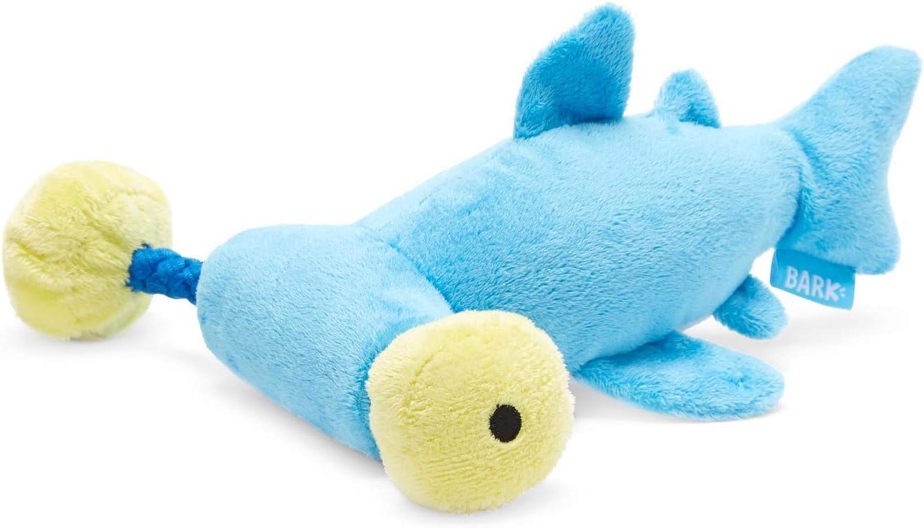 newfoundland and poodle mix puppies