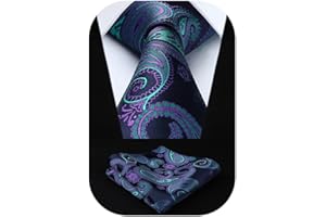 HISDERN Ties for Men Paisley Tie and Pocket Square Woven Classic Floral Mens Ties Handkerchief Set Wedding Party Necktie