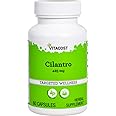 Vitacost Cilantro (Coriander) -- 425 mg - 60 Capsules