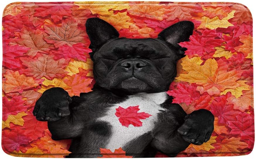 Alfombra de baño Bulldog, Bulldog francés miente en hoja de arce roja